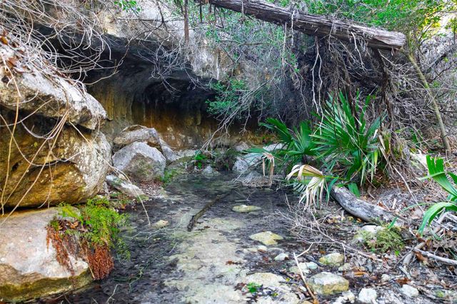 9201 SILVER PINE CV, Austin, TX 78733