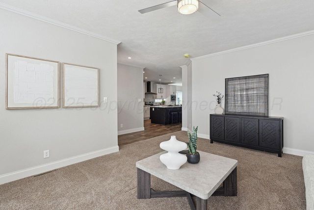 10350 Raven Tree Road, Amarillo, TX 79118