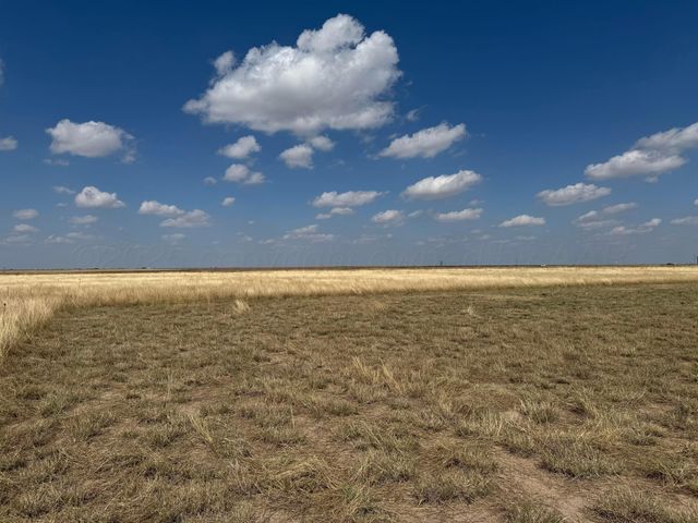 10350 Raven Tree Road, Amarillo, TX 79118