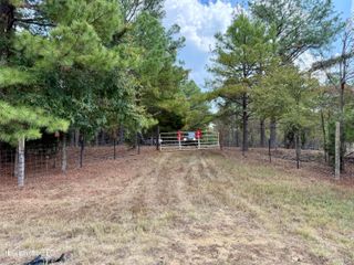 250 Mays Rd, Coldwater, MS 38618
