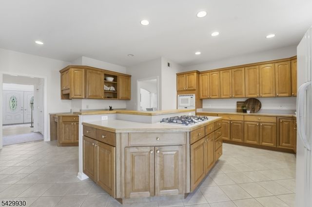 33 Scheurman Ter, Green Brook Twp., NJ 07059