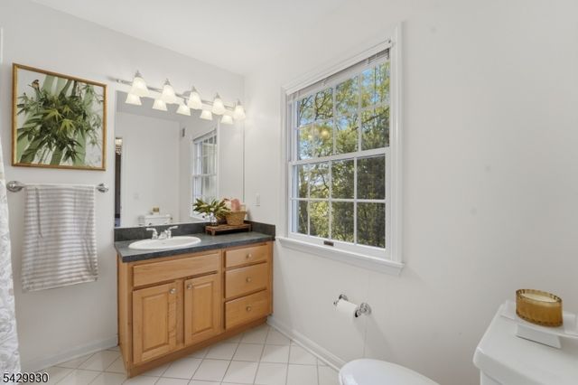 33 Scheurman Ter, Green Brook Twp., NJ 07059