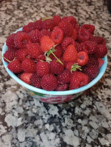 1124 S 1050 W, Tooele, UT 84074