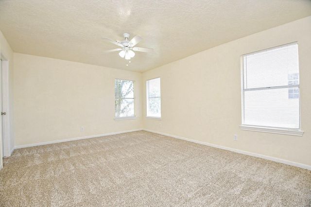 10138 Duchamp Drive, Houston, TX 77036