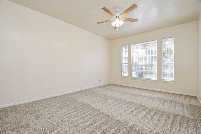 10138 Duchamp Drive, Houston, TX 77036