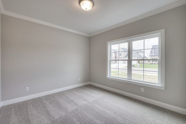 5529 Sinclair St, Murfreesboro, TN 37127