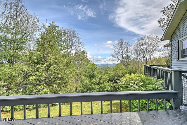 190 Roanwood Road, Roan Mountain, TN 37687