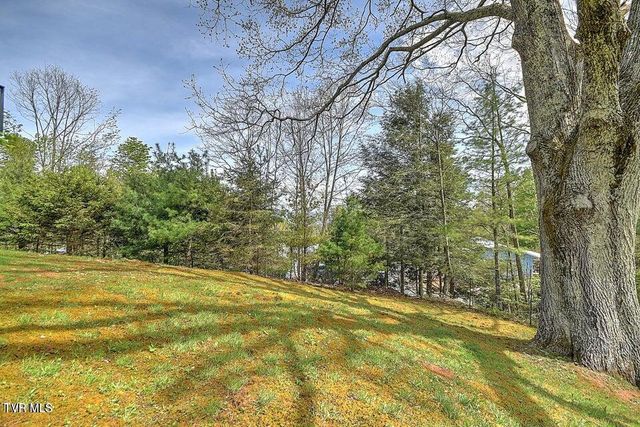 190 Roanwood Road, Roan Mountain, TN 37687