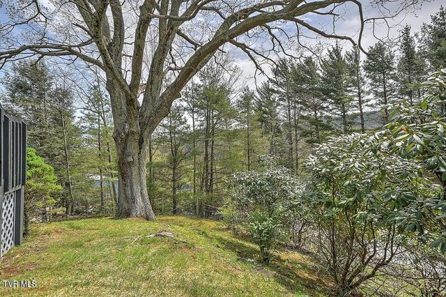 190 Roanwood Road, Roan Mountain, TN 37687