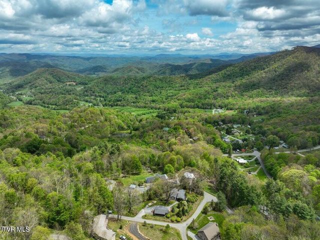 190 Roanwood Road, Roan Mountain, TN 37687