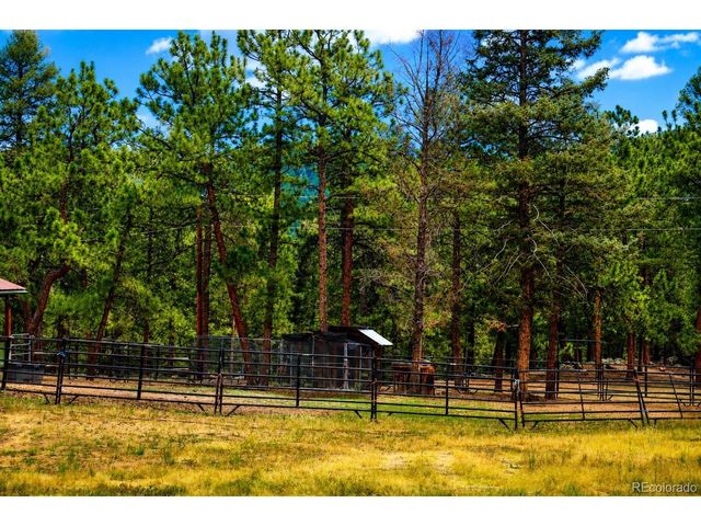 325 Road D, Pine, CO 80470