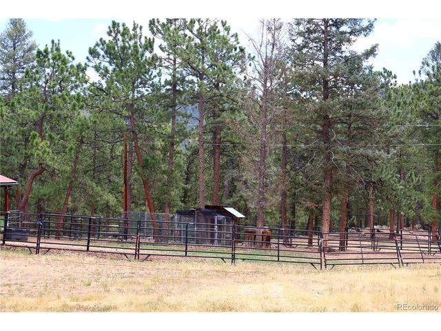 325 Road D, Pine, CO 80470