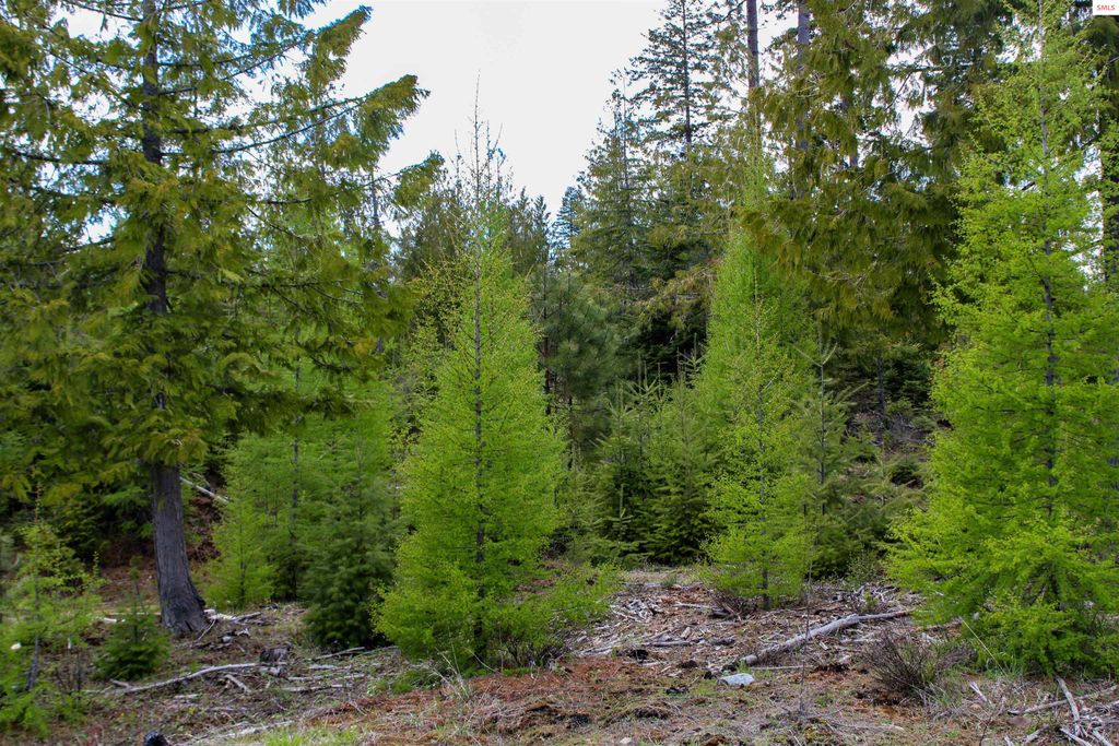 Est Lot 8 Camp Bay Estates, Sagle, ID 83860 photo 11