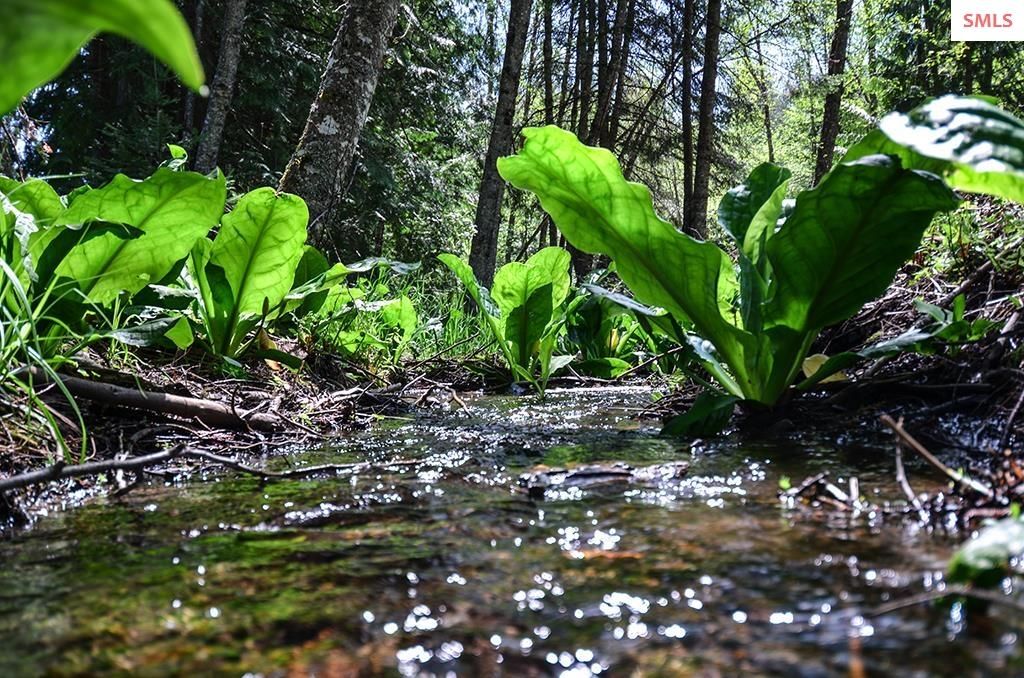 Est Lot 8 Camp Bay Estates, Sagle, ID 83860 photo 22