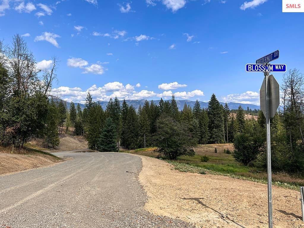 Est Lot 8 Camp Bay Estates, Sagle, ID 83860 photo 28