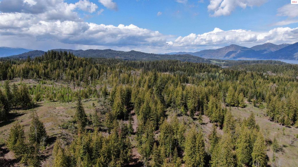 Est Lot 8 Camp Bay Estates, Sagle, ID 83860 photo 9