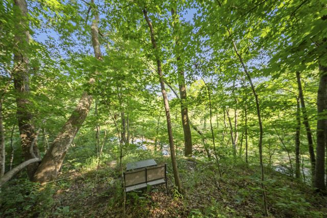 22153 Highway 49 E, Springfield, TN 37172