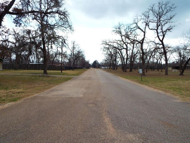 Lot 179 Chamelleon Lane, Hempstead, TX 77445
