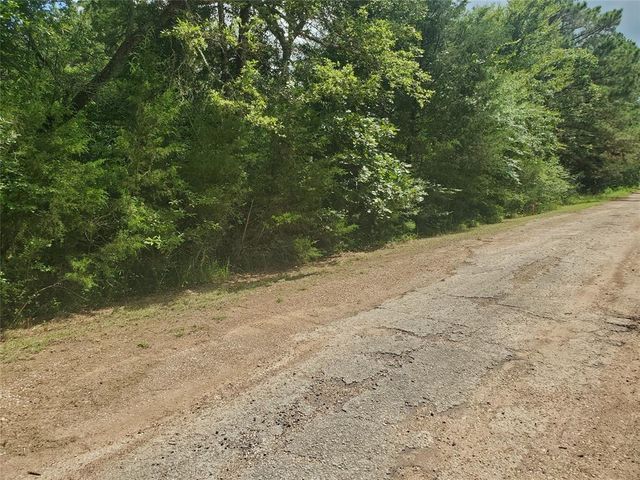 Lot 179 Chamelleon Lane, Hempstead, TX 77445