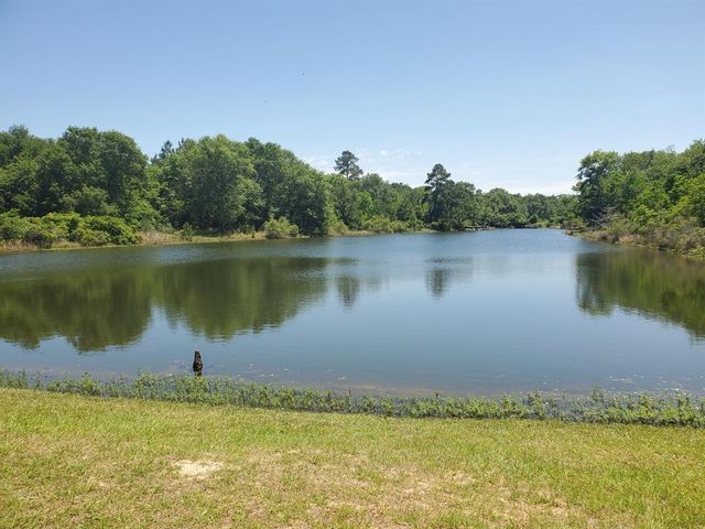 Lot 179 Chamelleon Lane, Hempstead, TX 77445