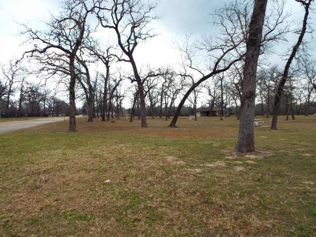 Lot 179 Chamelleon Lane, Hempstead, TX 77445