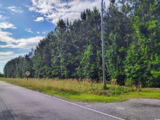 TBD Boggy Branch Rd., Nichols, SC 29581
