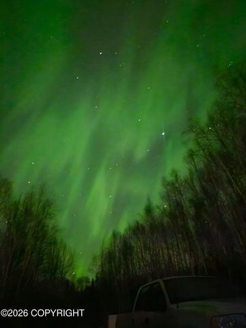 16669 W Galena Court, Big Lake, AK 99652