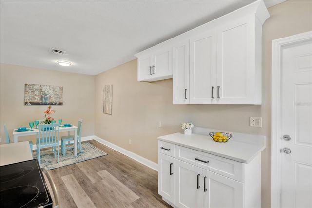 14814 N IRIS AVENUE, Tampa, FL 33613