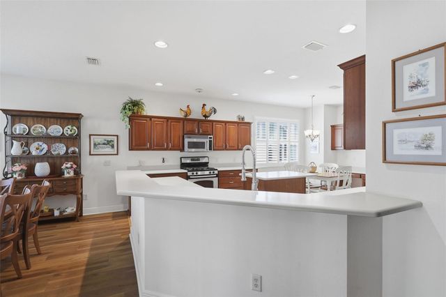 1607 MOUNT CROGHAN TRAIL, The Villages, FL 32162