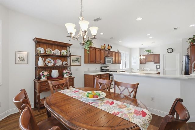 1607 MOUNT CROGHAN TRAIL, The Villages, FL 32162