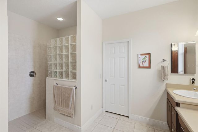 1607 MOUNT CROGHAN TRAIL, The Villages, FL 32162