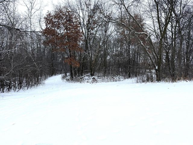 4635 192nd Street, South Haven, MN 55382