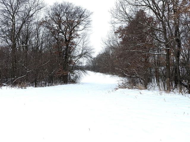 4635 192nd Street, South Haven, MN 55382