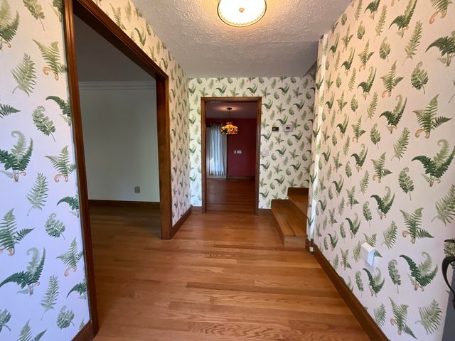 568 Castle Street, Monticello, KY 42633