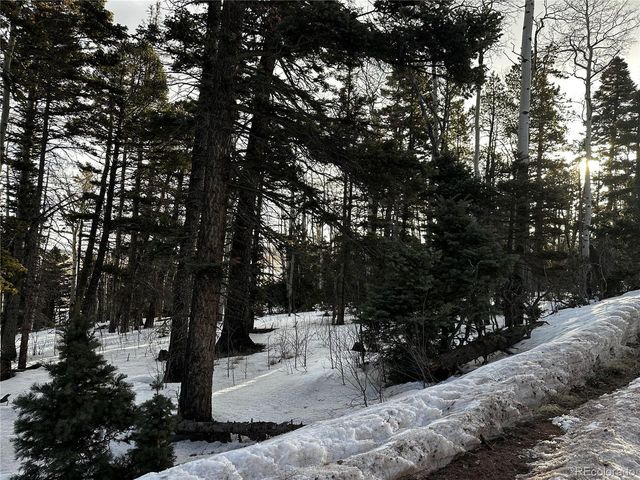 2354 Benton Pl, Fort Garland, CO 81133