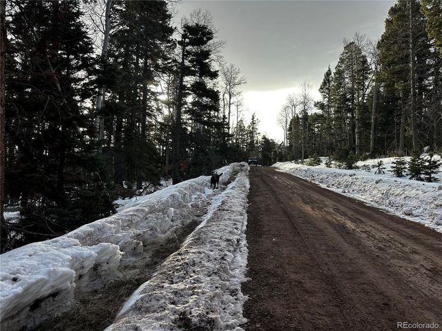 2354 Benton Pl, Fort Garland, CO 81133