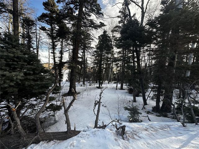 2354 Benton Pl, Fort Garland, CO 81133