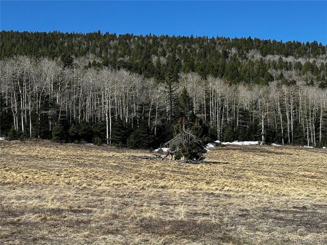 2354 Benton Pl, Fort Garland, CO 81133