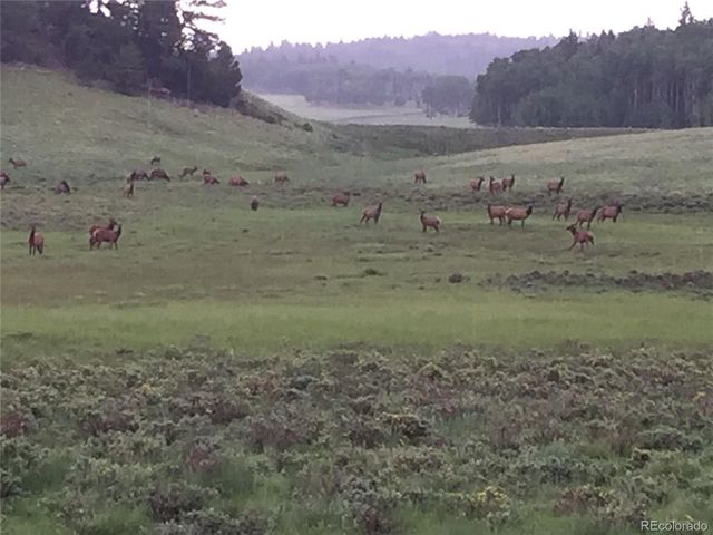 2354 Benton Pl, Fort Garland, CO 81133