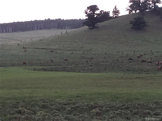 2354 Benton Pl, Fort Garland, CO 81133