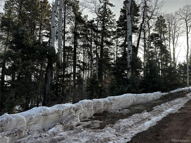 2354 Benton Pl, Fort Garland, CO 81133