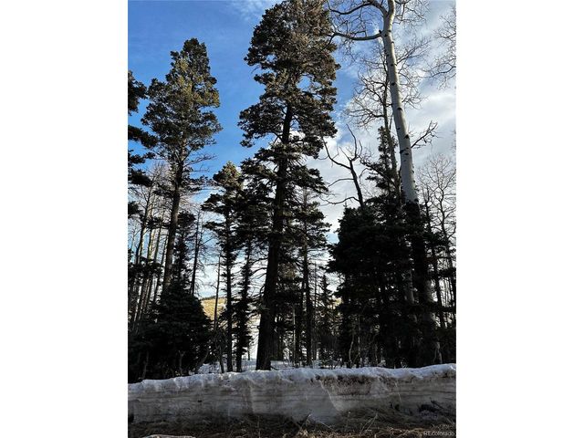 2354 Benton Pl, Fort Garland, CO 81133