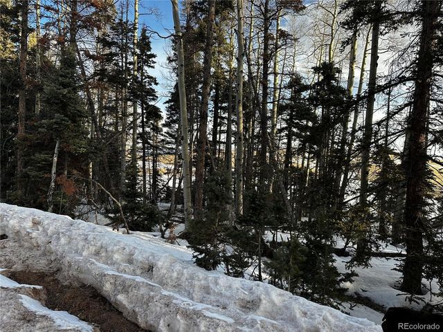 2354 Benton Pl, Fort Garland, CO 81133