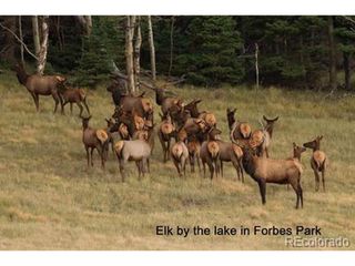 2354 Benton Pl, Fort Garland, CO 81133