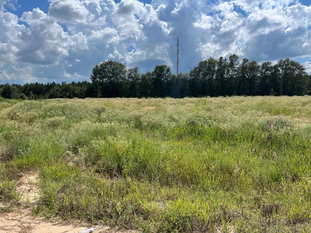 176 Road 5102l, Cleveland, TX 77327