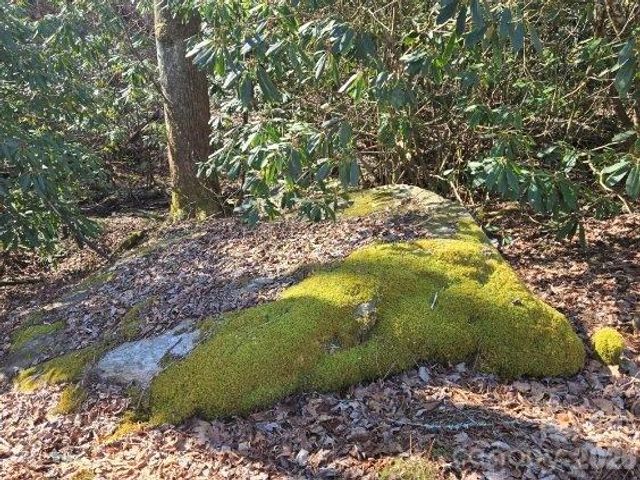 275 Hubbard Hollow Road, Rosman, NC 28772