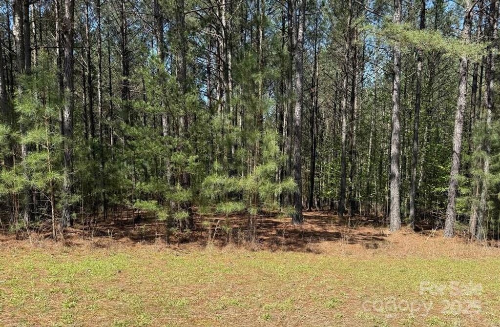 108 Whispering Pines Lane, Mooresboro, NC 28114