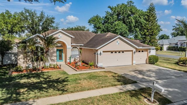 1821 PALM RIDGE PLACE, Valrico, FL 33594