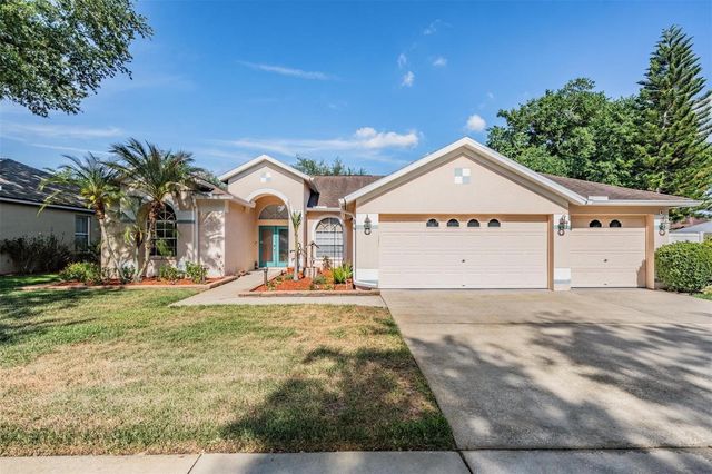 1821 PALM RIDGE PLACE, Valrico, FL 33594