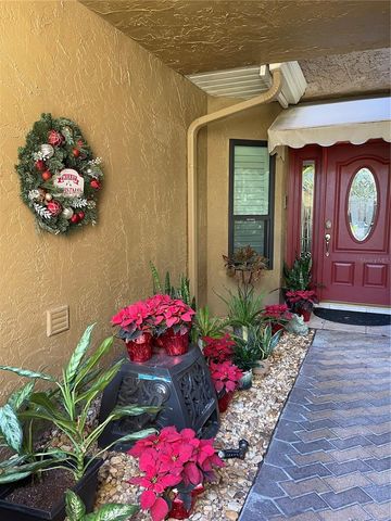 13812 MILL COVE CIRCLE 13812, Tampa, FL 33618